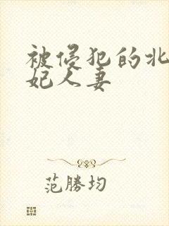 被侵犯的北条麻妃人妻封面