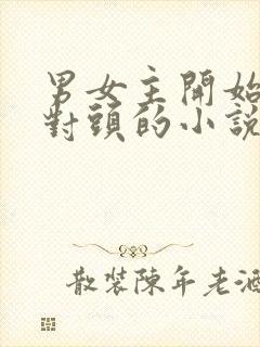 男女主开始是死对头的小说