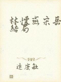 林怀燕宋岳泽大结局