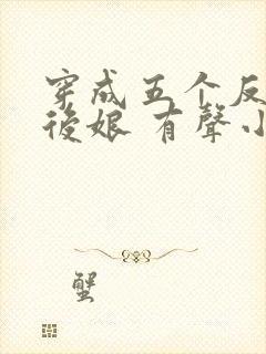 穿成五个反派的后娘 有声小说小说