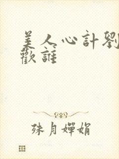 美人心计刘盈喜欢谁封面