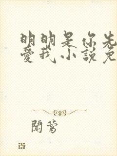 明明是你先说的爱我小说免费阅读封面