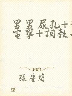 男男尿孔+灌+电击+调教小说