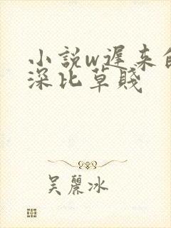 小说w迟来的情深比草贱