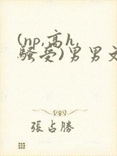 (np,高h,骚受)男男文