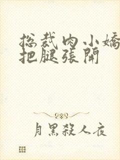 总裁肉小娇妻h把腿张开