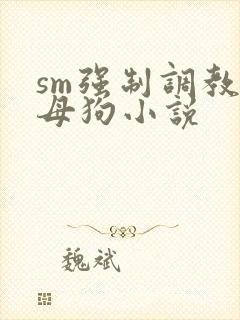 sm强制调教小母狗小说