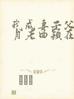 我成妻子父亲的月老曲颖在线阅读