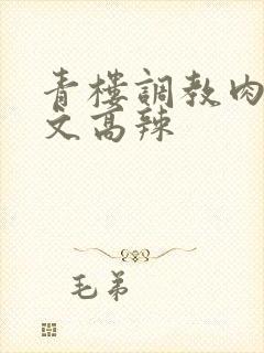 青楼调教肉hh文高辣