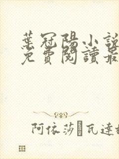 叶冠阳小说全文免费阅读最新章节