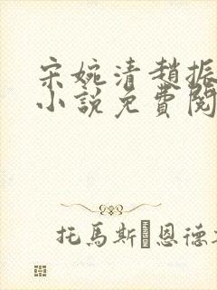 宋婉清赵振国的小说免费阅读最新章节