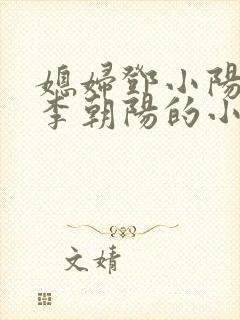 媳妇邓小阳我叫李朝阳的小说封面