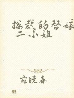 总裁的替嫁新娘 二小姐