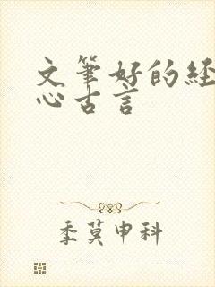 文笔好的经典虐心古言