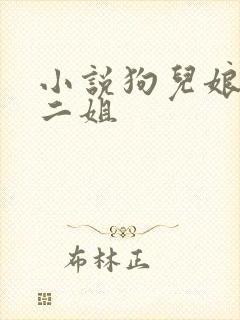 小说狗儿娘大姐二姐