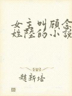 女主叫顾念男主姓陆的小说