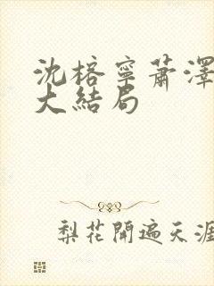 沈榕宁萧泽小说大结局