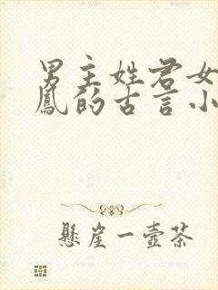 男主姓君女主姓凤的古言小说封面