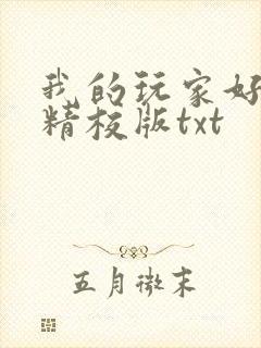 我的玩家好凶猛精校版txt