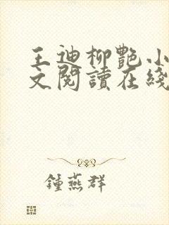 王迪柳艳小说全文阅读在线