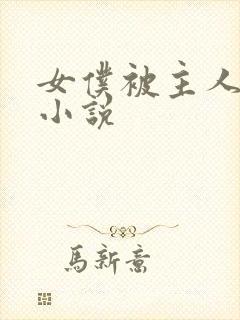 女仆被主人调教小说