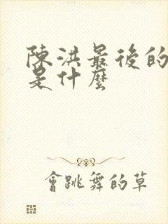 陈洪最后的结局是什么封面