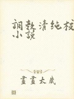 调教清纯校花h小说封面