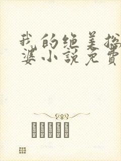 我的绝美总裁老婆小说免费阅读全文