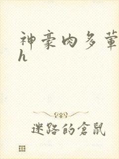 神豪肉多荤文高h