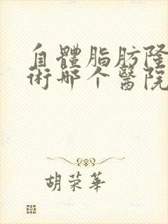 自体脂肪隆胸手术哪个医院好