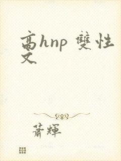高hnp 双性文