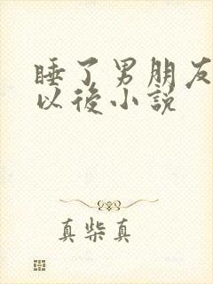 睡了男朋友室友以后小说