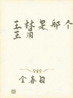 王林是哪个小说主角