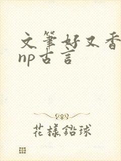 文笔好又香艳的np古言封面