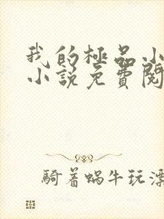 我的极品小姨 小说免费阅读封面