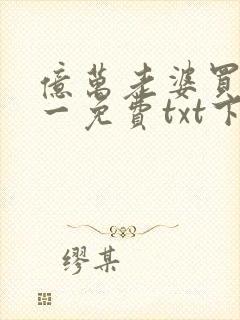 亿万老婆买一送一免费txt下载