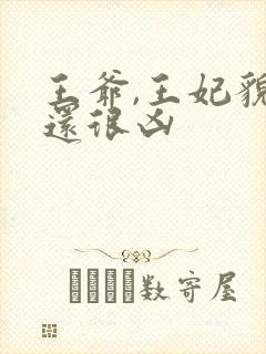 王爷,王妃貌美还很凶