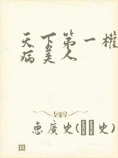 天下第一权臣是病美人封面