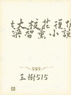 t大校花复仇记梁智薰小说封面