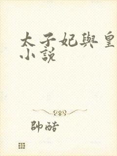 太子妃与皇上的小说