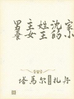 男主姓沈家里收养女主的小说