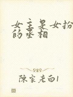 女主是女扮男装的丞相