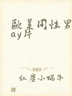 欧美同性男男gay片