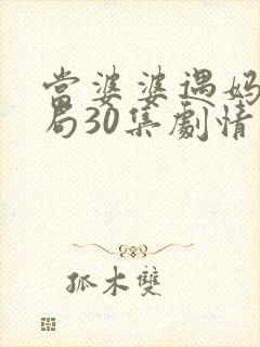 当婆婆遇妈大结局30集剧情封面