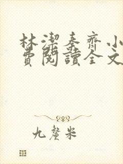 林洁秦齐小说免费阅读全文最新章节