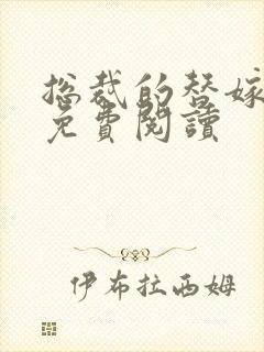 总裁的替嫁新娘免费阅读封面