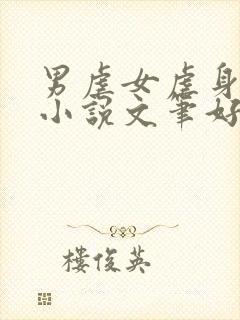 男虐女虐身现言小说文笔好