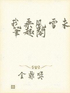 我乘风雪未删减笔趣阁封面