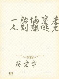 一胎俩宝老婆大人别想逃免费阅读