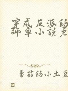 穿成反派的美人师尊小说免费阅读封面